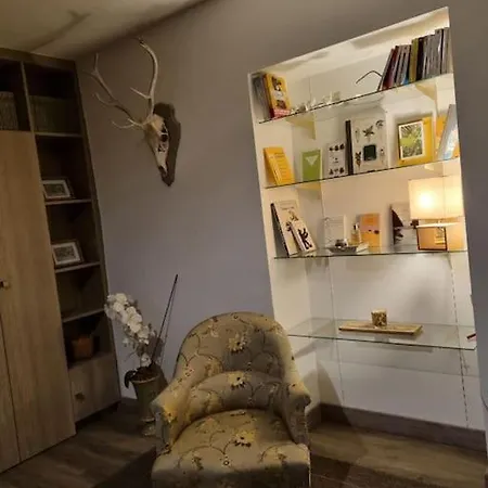 L'ourse, Epinal,tres Bel Quartier Port Apartman *